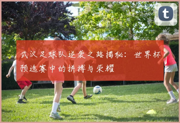 武汉足球队逆袭之路揭秘：世界杯预选赛中的拼搏与荣耀